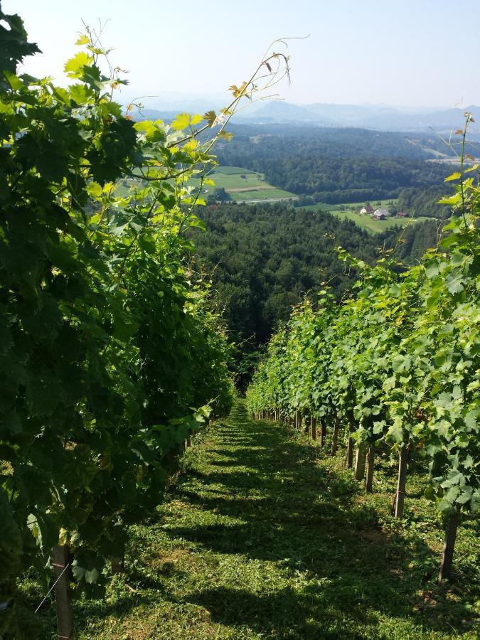 Vineyard Paradise Senica Dramlje Exterior foto